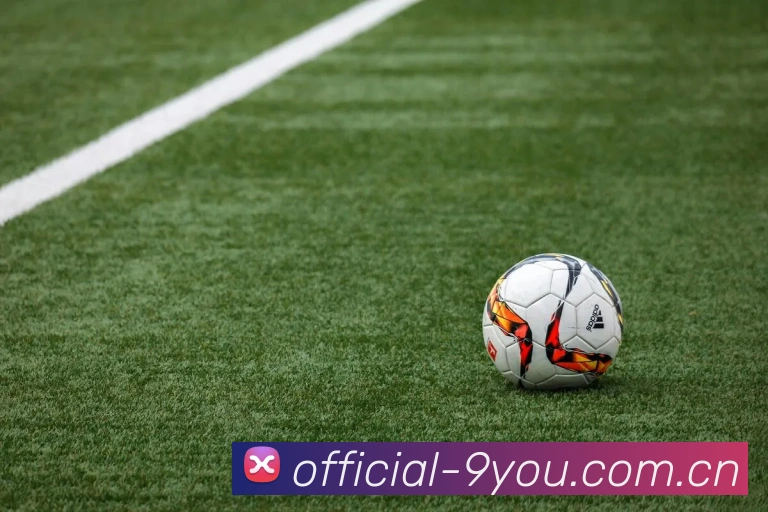 九游体育中国官方网站平台生态图